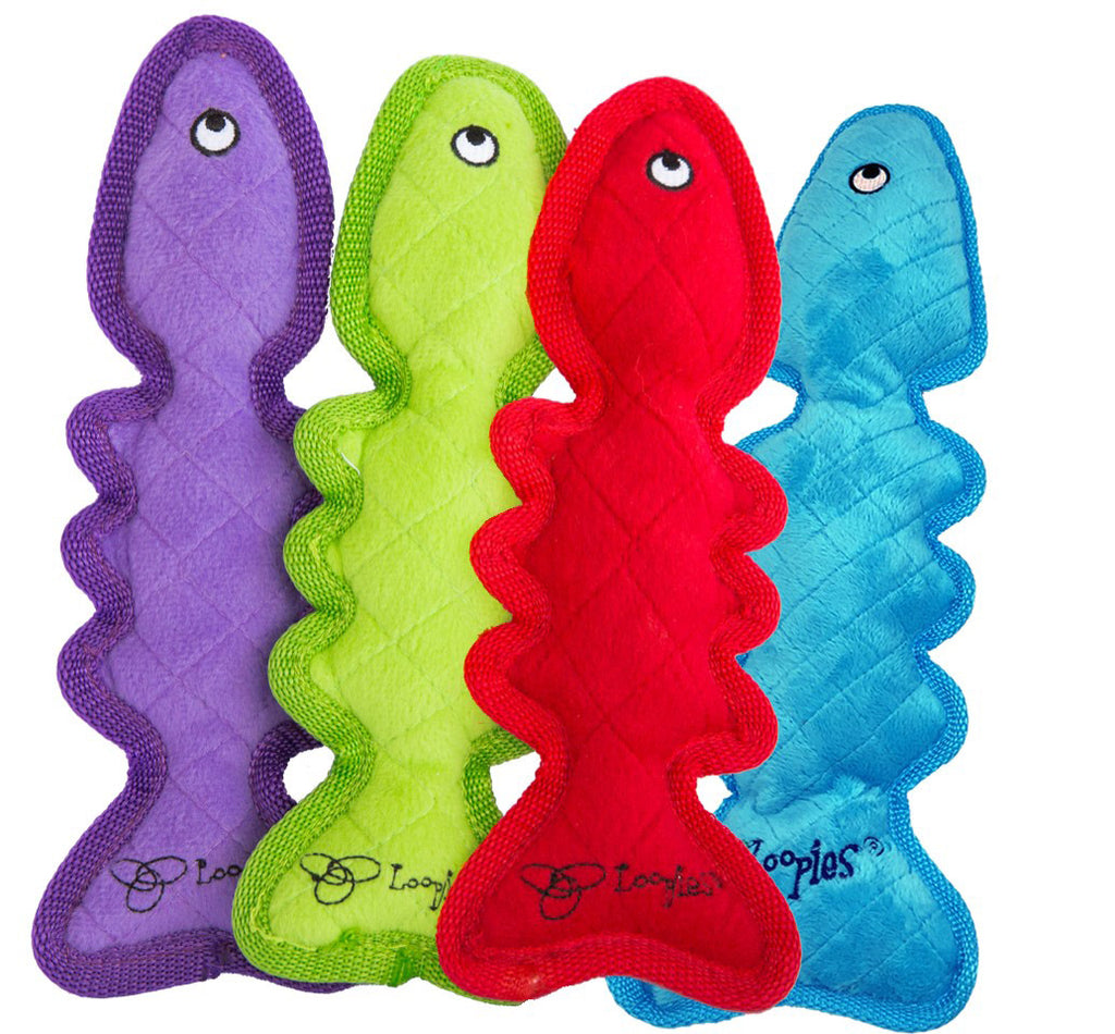 Fish Bone ICEBITER, Soak it and freeze it, Dog Toy (Assorted Colors) by Loopies