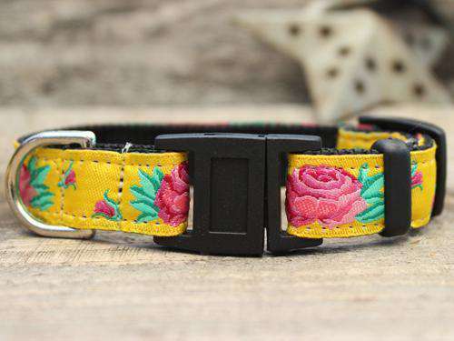 This is the Spanish Rose Design Breakaway Buckle Cat Collar by Surf Cat. It has a red rose set against the brilliant yellow of a Sevilla Sun. It has breakaway buckles that pop open under eight pounds of pressure. It is made of comfortable and lasting nylon overlaid with durable polyester ribbon. The quintuple stitching at specific stress points adds strength. he fabrics and stitching of the collar actively responds to your cat's actions helping the collar retain its pliable design.  