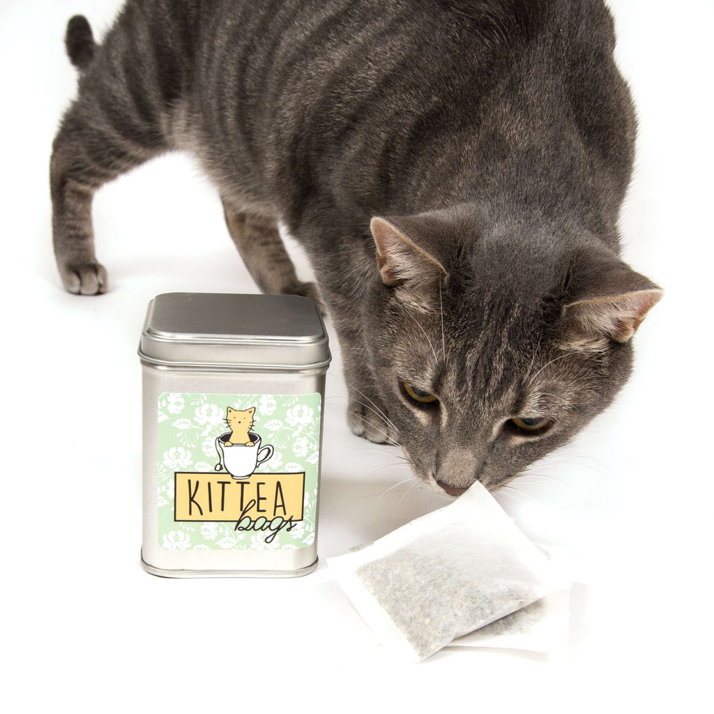 A large grey cat is sniffing a KitTEA bag. This is the tin can where for KitTea Liquid Catnip Cat Toy by Pet Winery.  On the tin can's front, there is a sticker. The sticker comprises of a floral background, a white tea cup with a cat in it, and below that, the KitTEA logo is. The sticker reads KitTEA bags. The tea bags have a blend of catnip, Valerian Root, and other herbs. They can be brewed for the cat to drink. It is safe for all cats. 