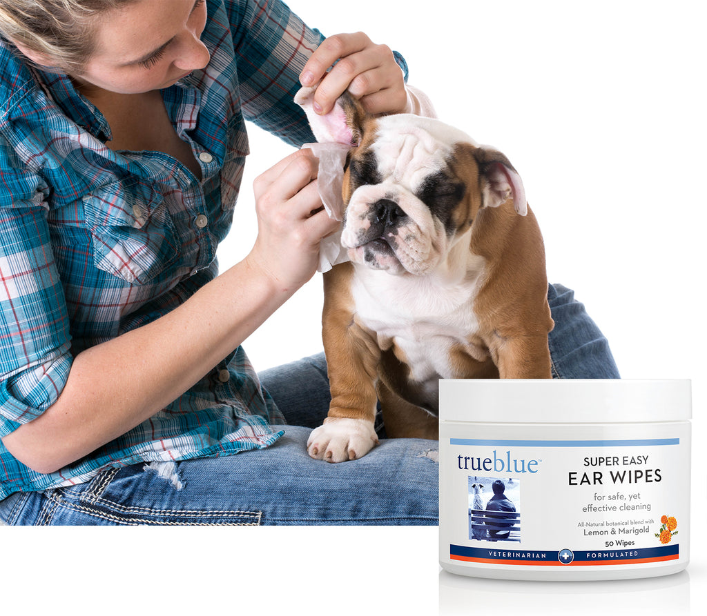 TrueBlue - Super Easy Dog Ear Wipes - 50 pads, Pet Products