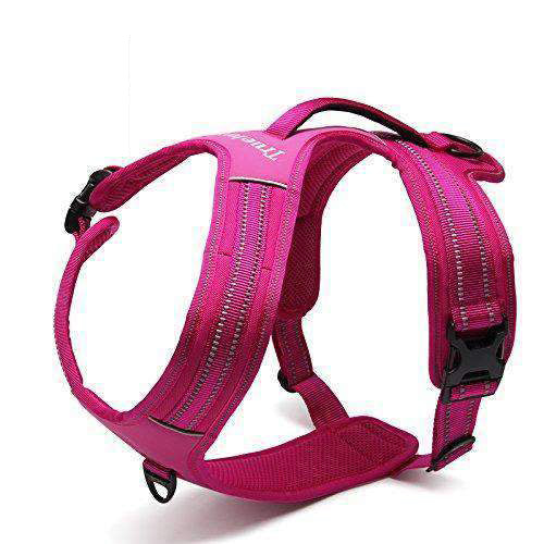 Truelove - Hybrid, No-Pull, Heavy Duty Dog Harness w/Shoulder Buckle - Black, Hot Pink, Teal