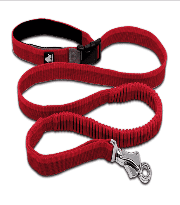 Truelove Running Dog Leash – Adjustable – Hand-Held or Waist-Worn