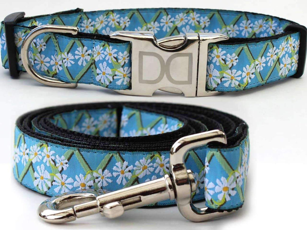 Daisy Custom Engraved Dog Collar and Leash by Diva Dog PetDesignz