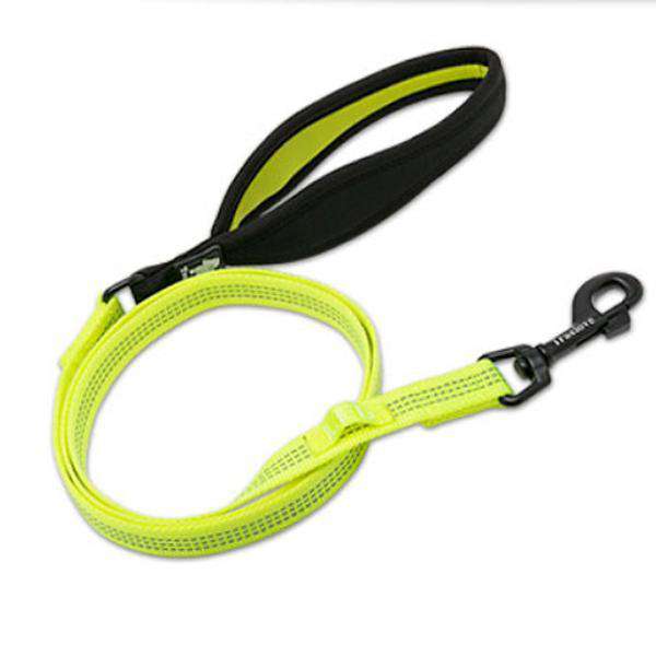 Truelove Dog Leash With LED Attachment, Neoprene Padded Handle, Heavy Duty