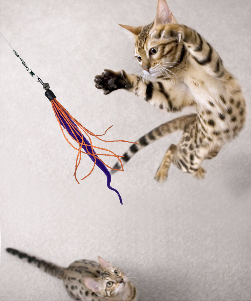 Wiggly Wand Cat Teaser Toy with Worm Lure by Dezi & Roo