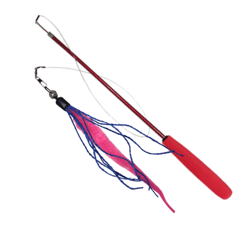 Wiggly Wand Cat Teaser Toy with Worm Lure by Dezi & Roo