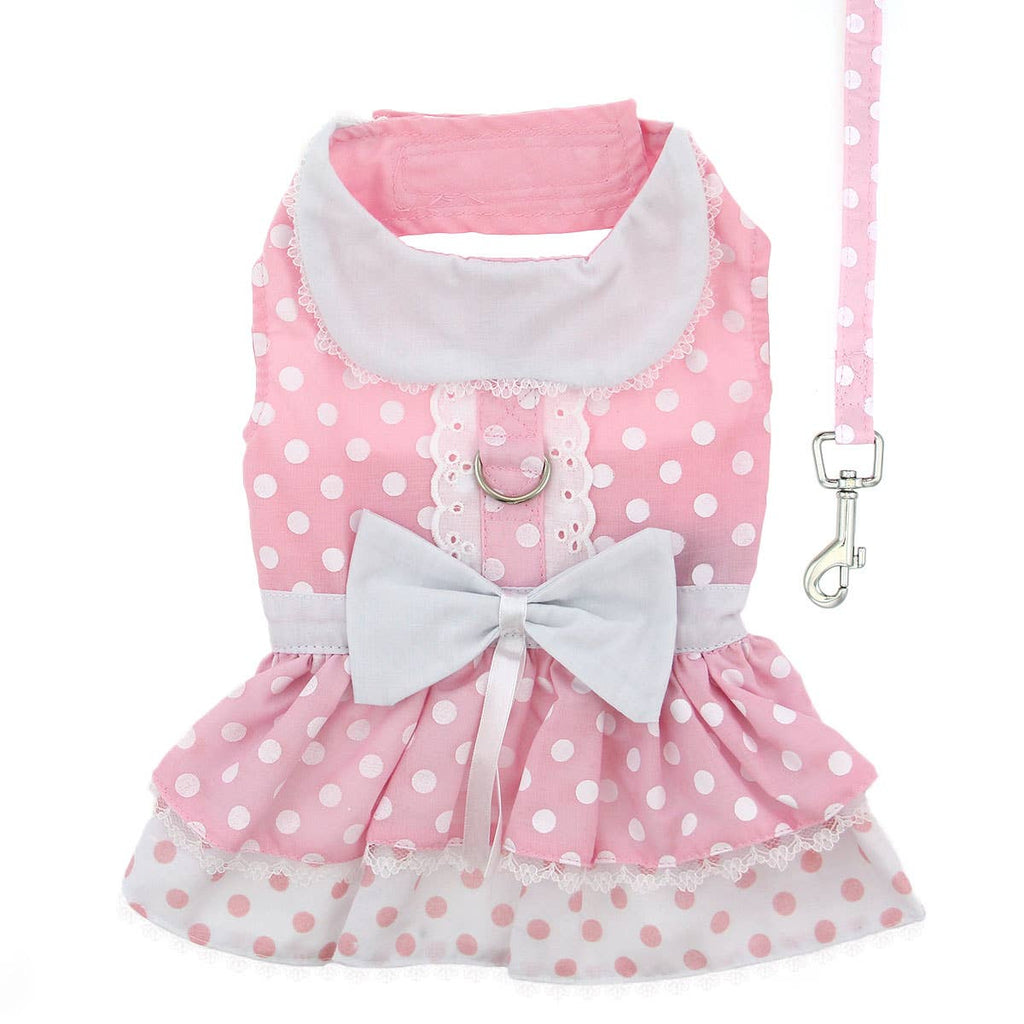 Pink Polka Dot and Lace Dress with Matching Leash