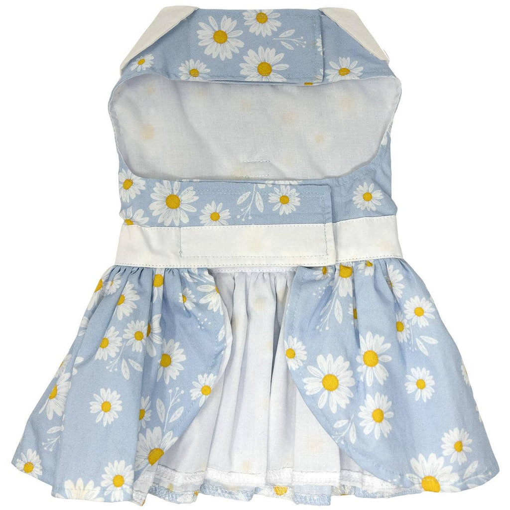 Dog Dress: Blue Daisy Dog Dress With Matching Leash