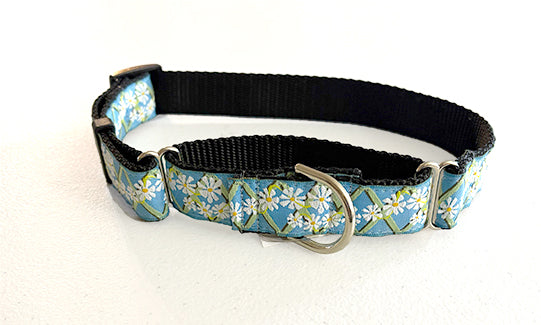 Daisy Martingale Dog Collar by Diva Dog