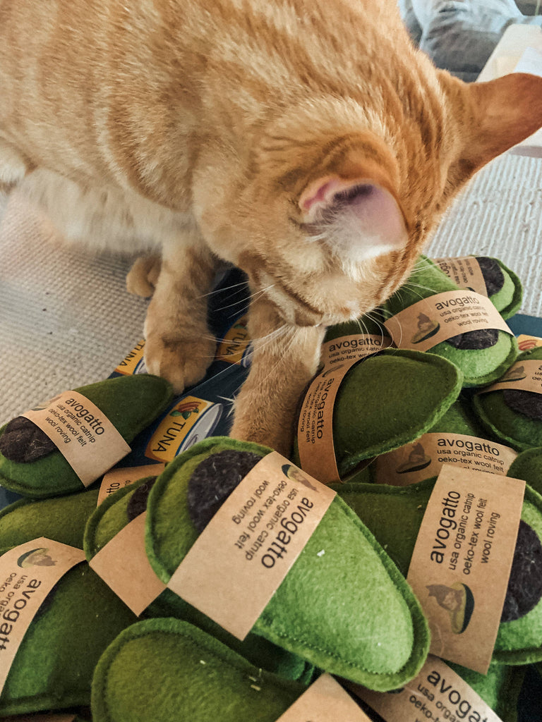 Avogatto Cat Toy - Organic catnip Stuffed Woolen Avocado