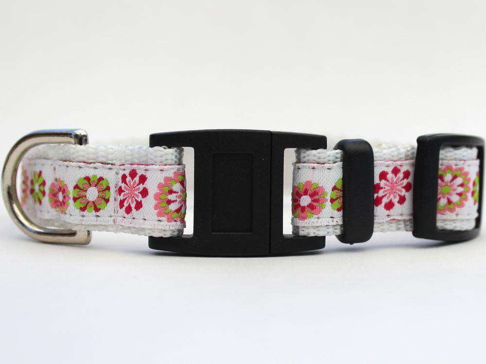 This is the Winter Garden Breakaway Buckle Cat Collar by Surf Cat. It features floral patterns set on a winter white fabric. The has breakaway buckles that pop open under eight pounds of pressure. This helps reduce choking hazards. The collar is made with soft and comfortable nylon overlaid with durable polyester ribbon. uintuple stitching at stress points provides extra strength too. So your cat gets a strong, comfortable collar. 
