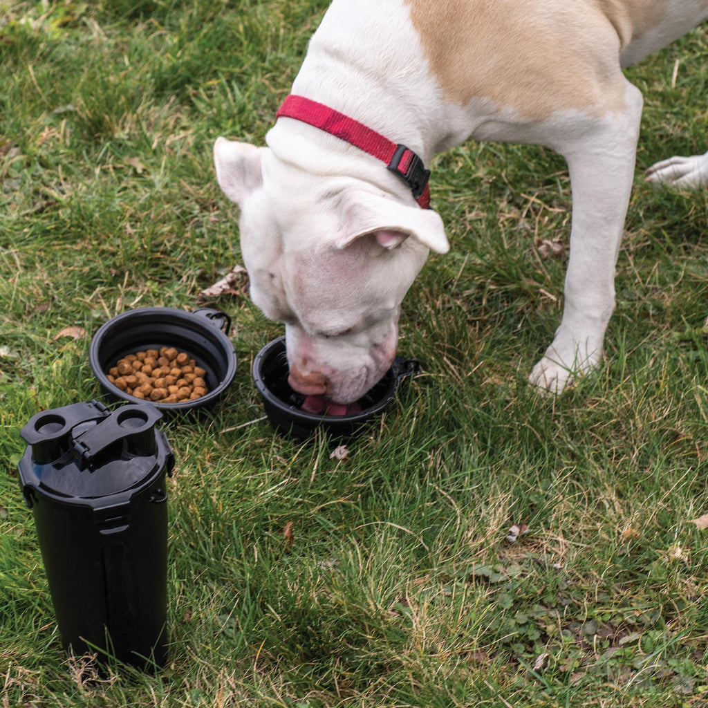 Doggie Duo Portable Food or Water Bowl System for Your Dog