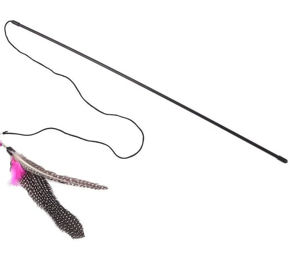This is a GO CAT™ 36 inch single rod teaser wand with a Da Bird Guinea Feathers teaser attached to it. The Guinea feathers come in assorted colors. The teaser is designed to replicate the motion of the actual bird's feathers. 