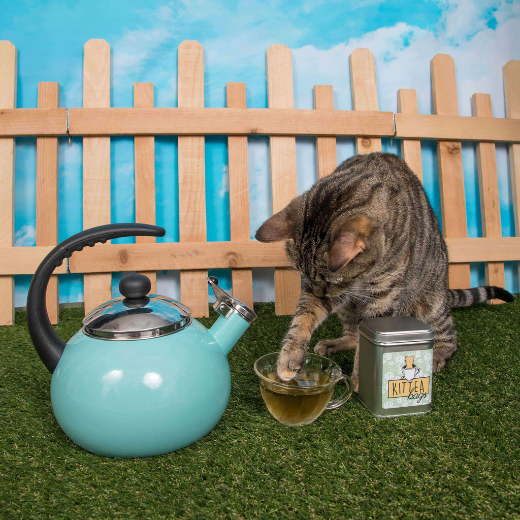 A large grey tabby cat paws a dish with brewed KitTEA in it. A faux sky wall is behind the animal and there's a fence in between the wall and cat. A light blue tea kettle sits next to the dish with KitTEA in it. The KitTEA tin can sits in front of the cat. Each bag has a special blend of catnip, Valerian Root, and other herbs that can be brewed. It is safe for all cats. 