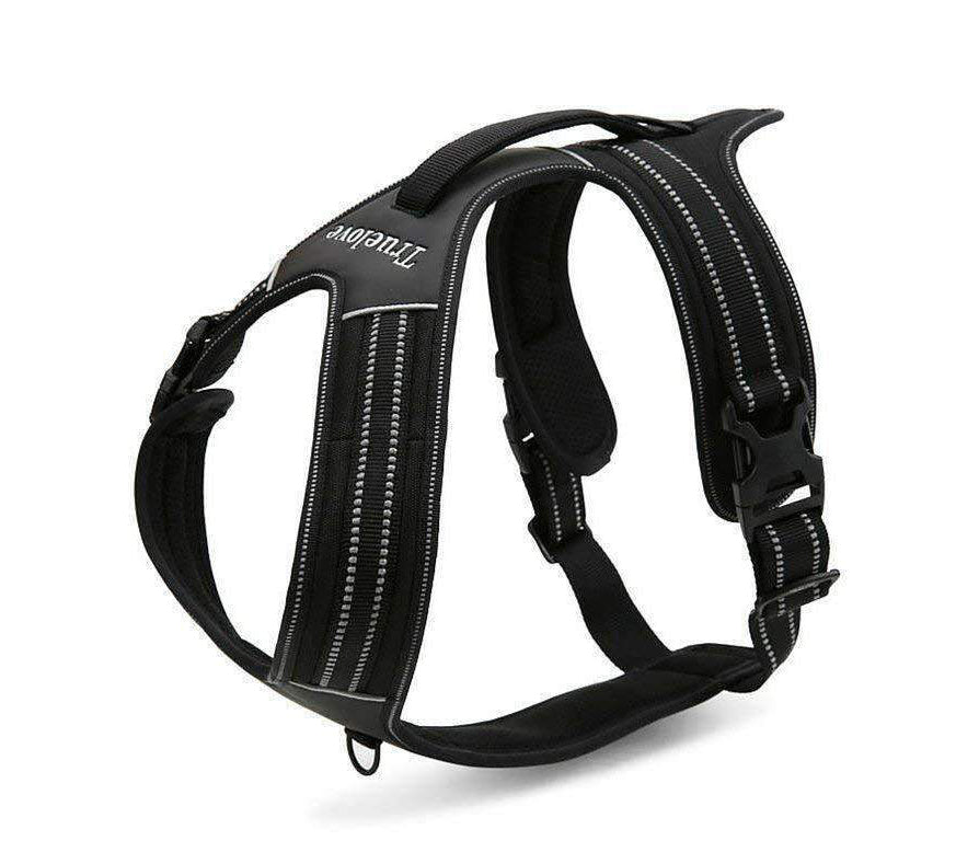 Truelove - Hybrid, No-Pull, Heavy Duty Dog Harness w/Shoulder Buckle - Black, Hot Pink, Teal