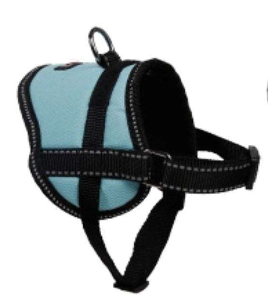 This is a photo of a Small Dog and Cat Oxford Training Harness by DogLemi. It's color is light blue. It's for training animals how to walk, not jump, and not pull. It's an excellent alternative to collars for pets with medical conditions such as collapsing trachea and more.  