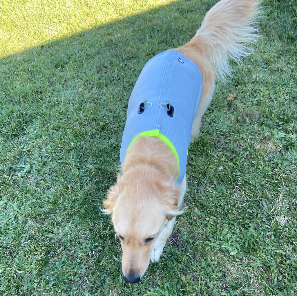 Dog Cooling Vest & Harness  - Green or Orange
