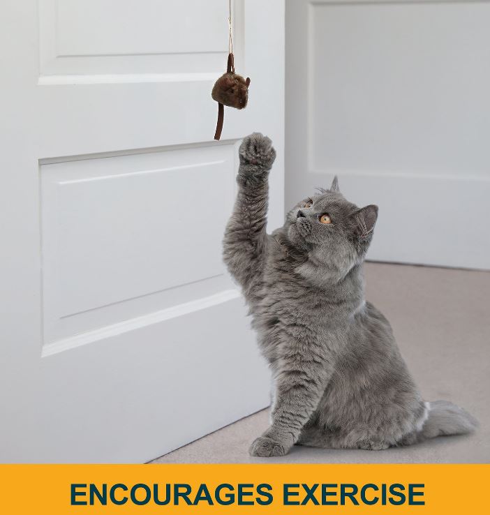 Fat Cat® Catfisher® Doorknob Hanger Catnip Cat Toy by Petmate – PetDesignZ