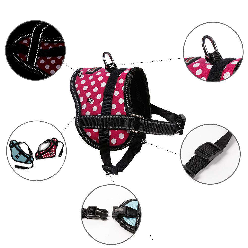 The photo is of a Small Dog & Cat Oxford Training Harness by DogLemi. In the photo, there are close up of the straps, chrome plated D ring, double stitching, and quick release buckle. It's for training animals how to walk, not jump, and not pull. It's an excellent alternative to collars for pets with medical conditions such as collapsing trachea and more.  