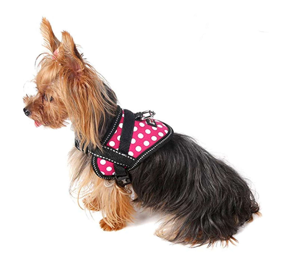 A small Yorkie is wearing an Oxford Training Harness by DogLemi. It's pink and has white polka dots. It's for training animals how to walk, not jump, and not pull. It's an excellent alternative to collars for pets with medical conditions such as collapsing trachea and more. 