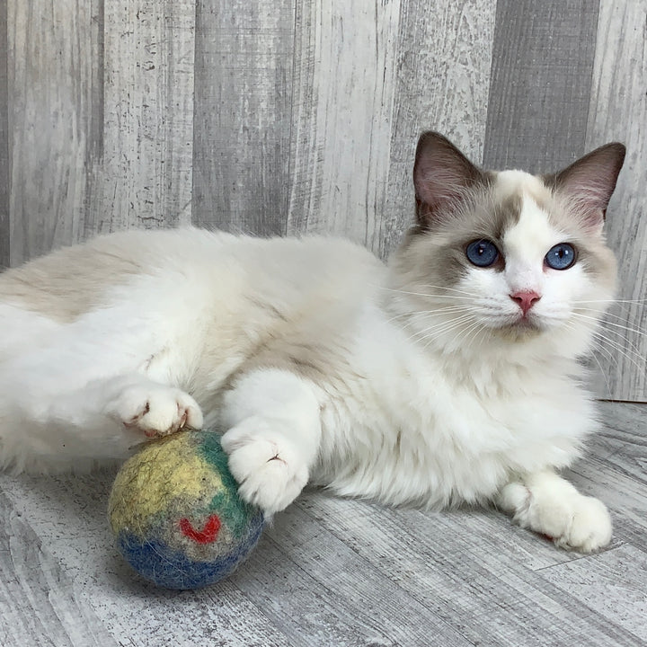 Big Wool Felt Ball Cat Toy