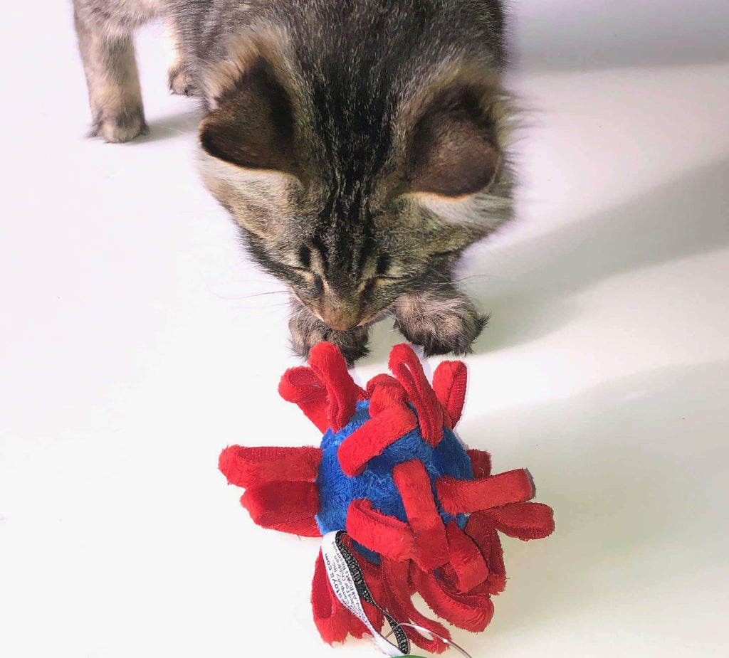 A cat is playing with a Loopie Loop Catnip Catnip Plus Cat Toy by Loopies. The ball is made from multiple fabrics for claw and catch play. The fabric is red and blue. The toy has an incorporated bell for greater play attraction. 100% organic catnip, which is grown into the USA, is loaded into the toy. It helps keep a pet's attention. 