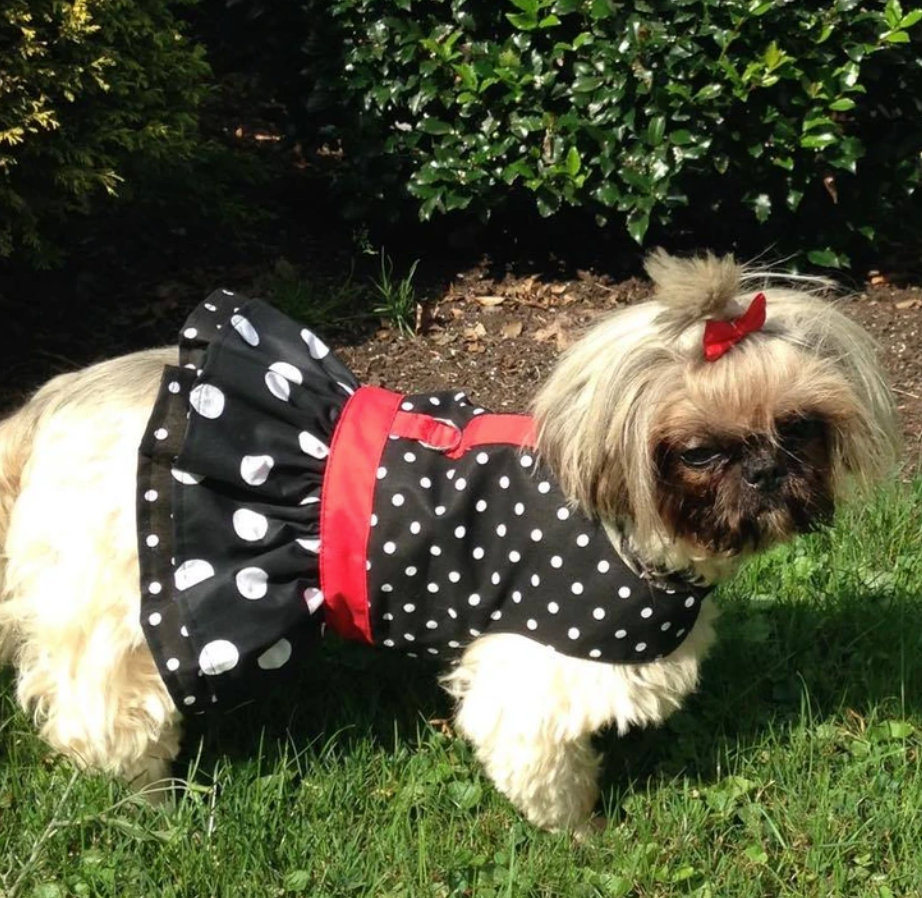Black and White  Polka Dot Ruffled Dog Vest Harness by Spoiled dogs