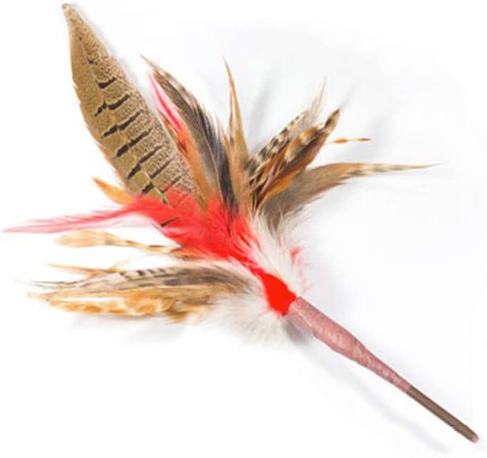Da Wild Thing Feather Teaser Wand and Replacement Lure by Go Cat
