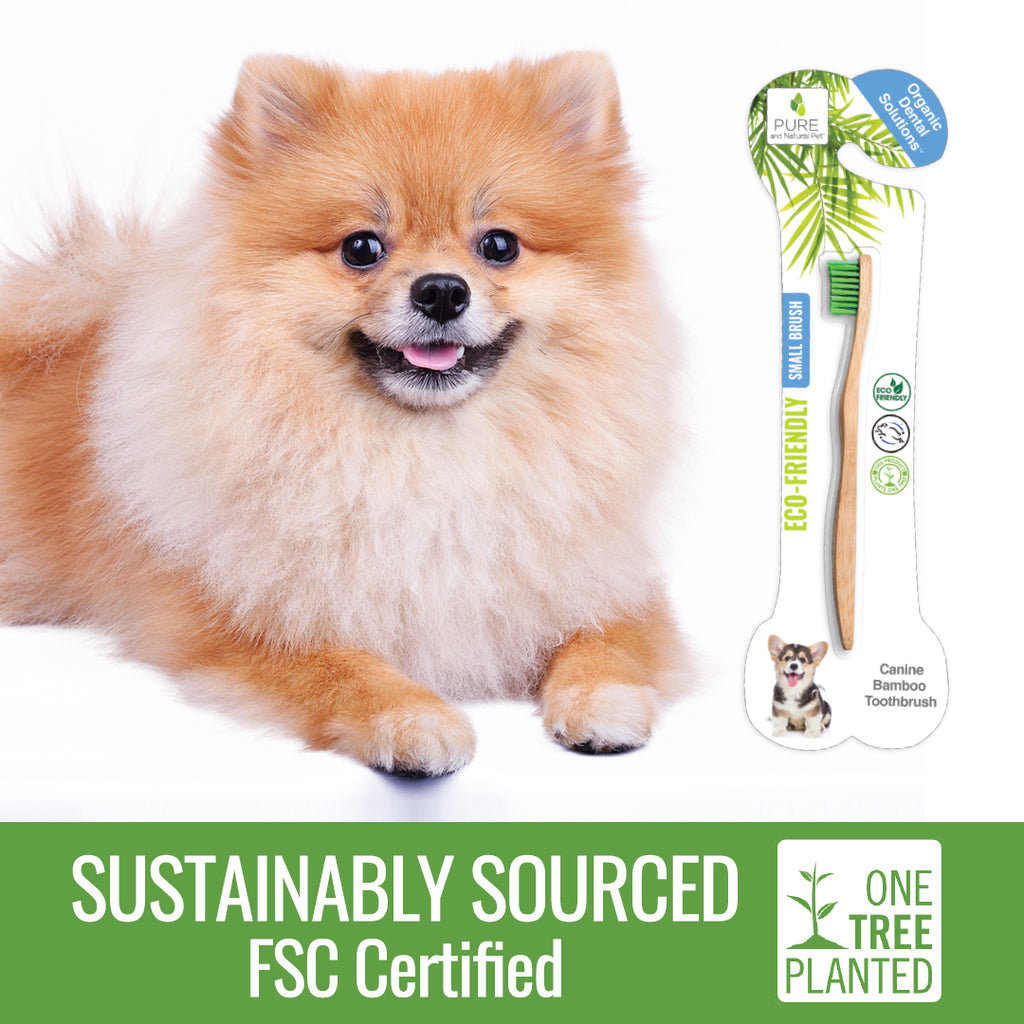 Canine Tooth Gel with Eco-Friendly Bamboo Toothbrush