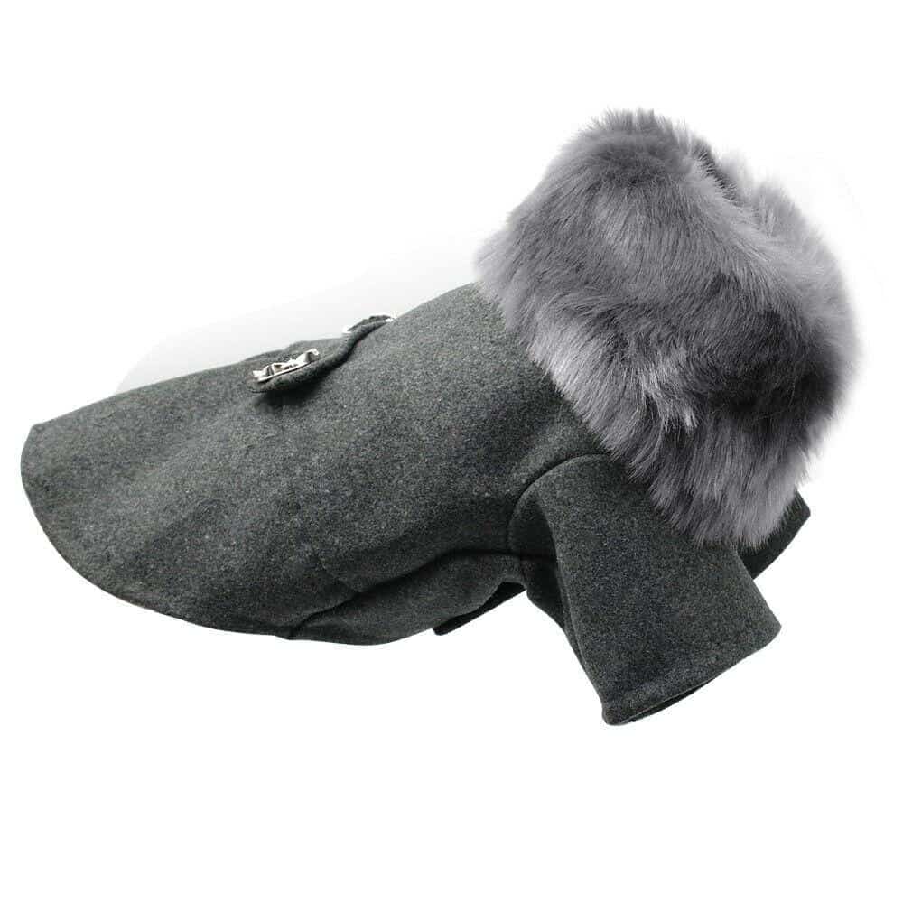 Fashionable Wool Dog Coat (Jacket) - Trench Coat with Faux-Fur Collared Accent