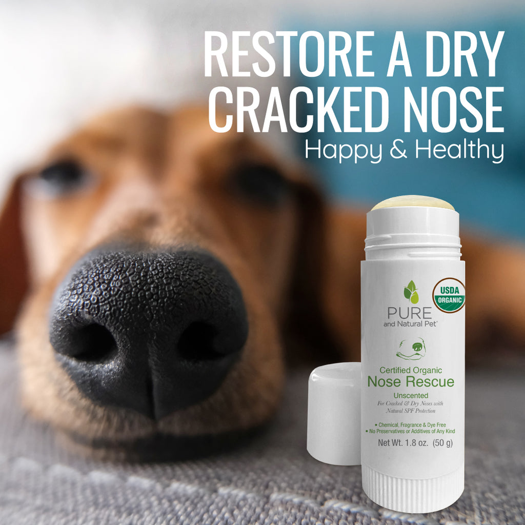 Certified Organic Nose Rescue - Helps Dry Cracked Dog Noses