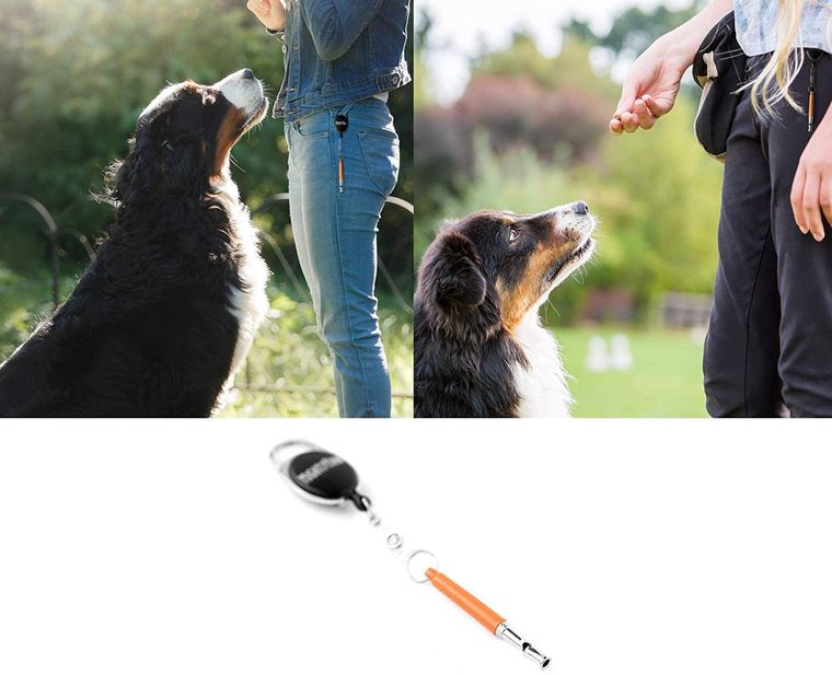 Dog Training Whistle by Mighty Paw