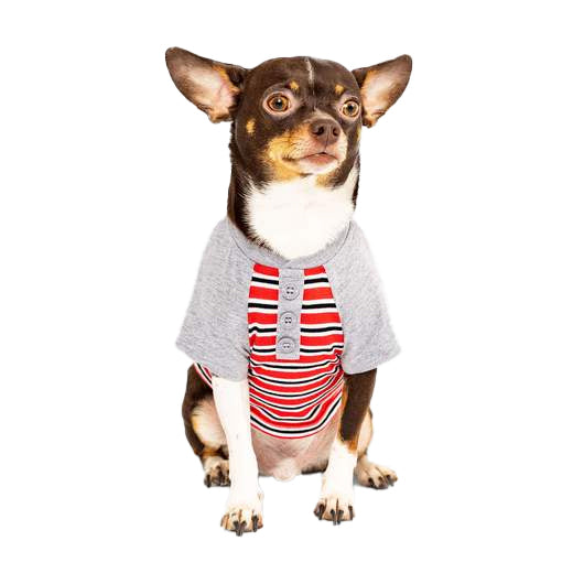 Not Your Basic Dog Tee - Classic Striped