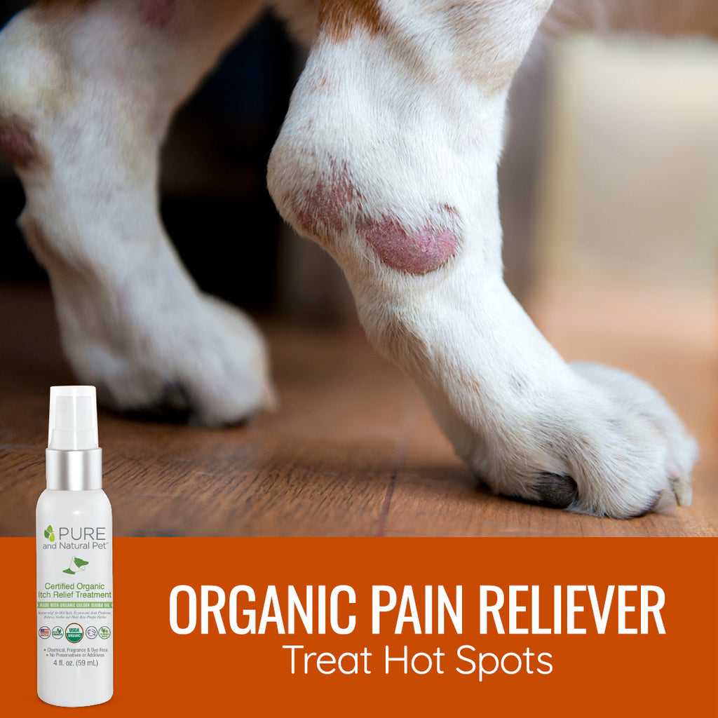Itch Relief & Hot Spot Oil for Your Dog